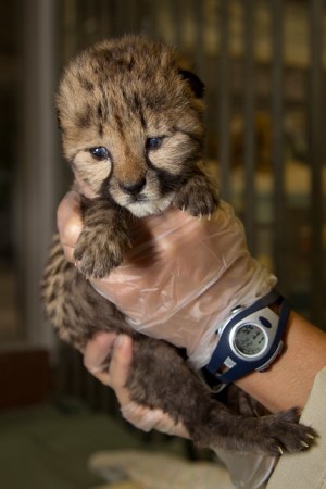 ������������� ������ :)