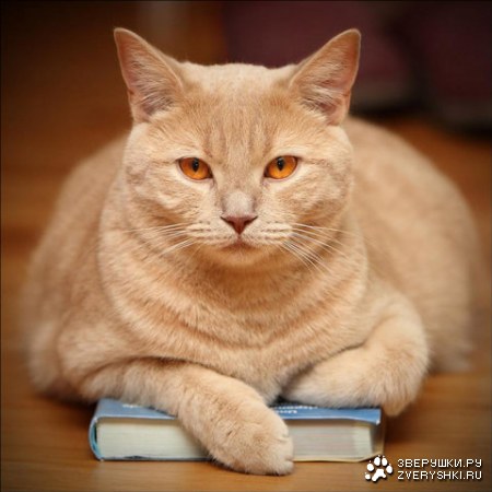 ����� �������� �� ������ :)