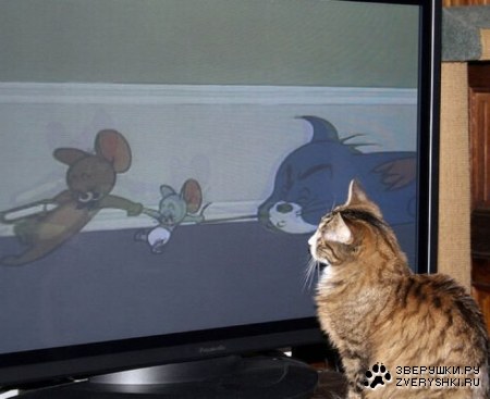 �������� ���� ����� �������� ��������� (23 ����)