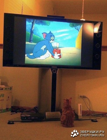 �������� ���� ����� �������� ��������� (23 ����)