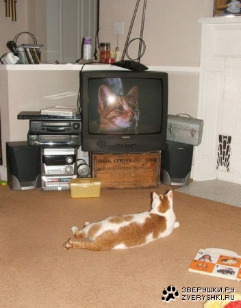 �������� ���� ����� �������� ��������� (23 ����)