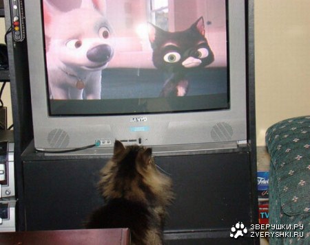 �������� ���� ����� �������� ��������� (23 ����)