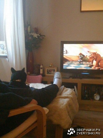 �������� ���� ����� �������� ��������� (23 ����)