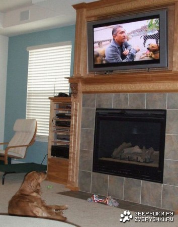 �������� ���� ����� �������� ��������� (23 ����)