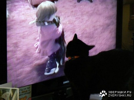 �������� ���� ����� �������� ��������� (23 ����)