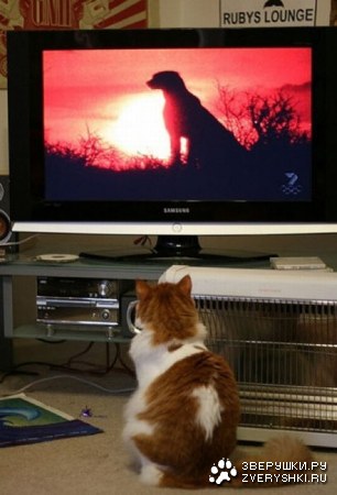 �������� ���� ����� �������� ��������� (23 ����)