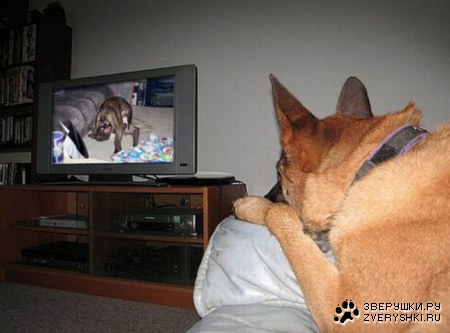 �������� ���� ����� �������� ��������� (23 ����)