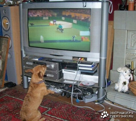 �������� ���� ����� �������� ��������� (23 ����)