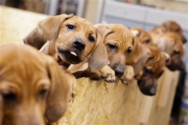 ������ - ����������!