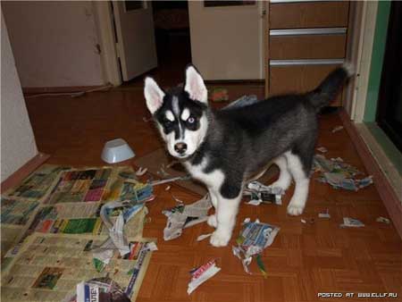 ����� - ������ ������ �������� ��� ������ ����� ��������?! (140 ����)