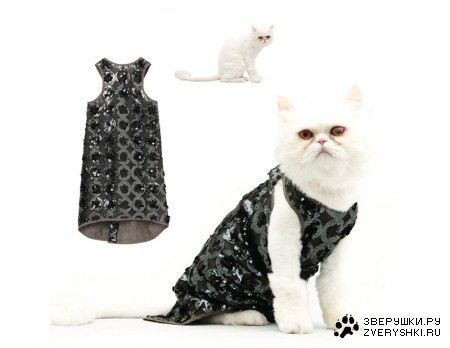 ��������� � ������� ������� (12 ����)