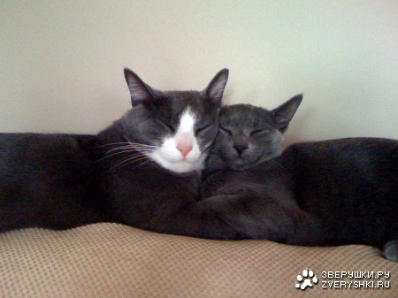 ��� ��� ������ ;)