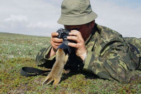 ���������� �������� (12 ����)