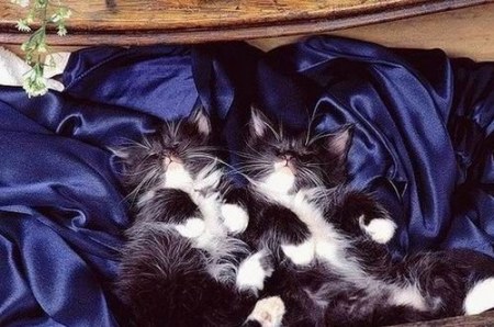 ���������� �������� (12 ����)