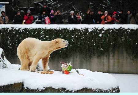 ���������� ���� ������� ������������! :)