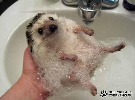 ���� ��������� ����� :)