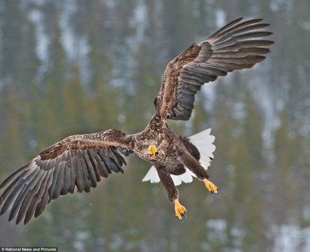 ����������� ������