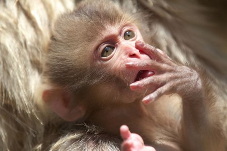 ���������� �������� ��������� (17 ����)