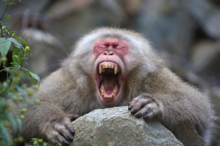 ���������� �������� ��������� (17 ����)