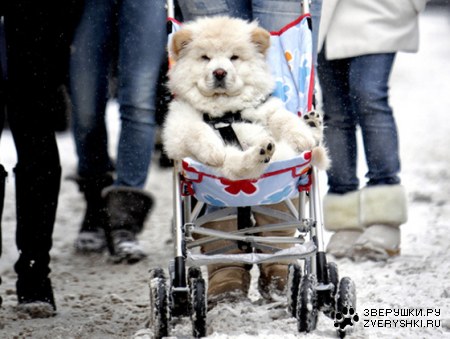 ������� ;)