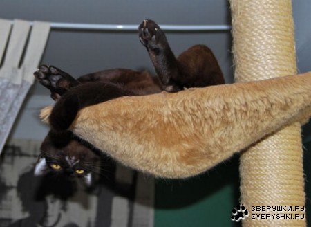 ���� � �������� ����� (22 ����)