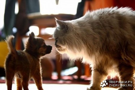 �� ������ ������?!