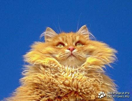 �������� ��� ���!