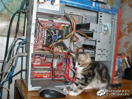 �����-����� :)