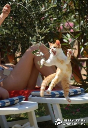 �������� � ����� (9 ����)