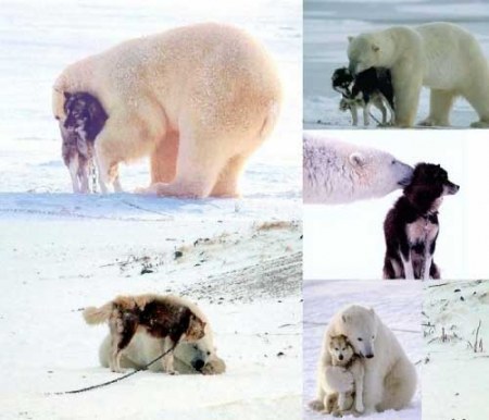 ������� :)