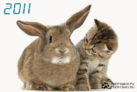 � ����������� ����� 2011 �����! :)