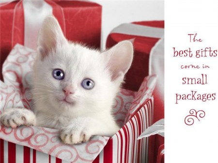 � ����������� ����� 2011 �����! :)