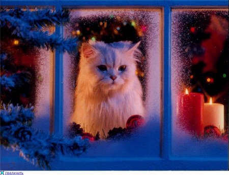 � ����������� ����� 2011 �����! :)