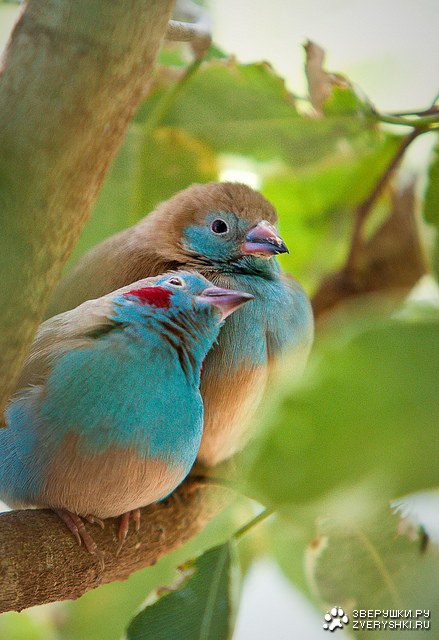 �������� ;)