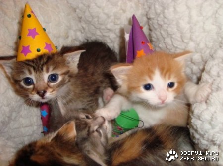 ��������� � �����! ;)