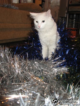 ���������� � ������ ����!