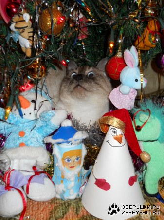 ��� ��� ��� �����??? ;)