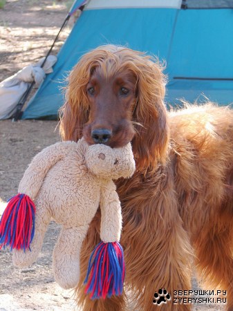 ������� ������� :)