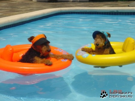 ������ ������� ;)