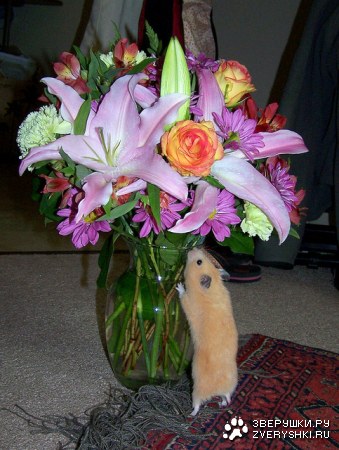 ��� �� ���? :)