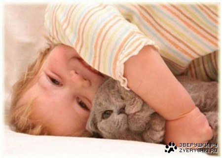 ����� � �������� (7 ����)