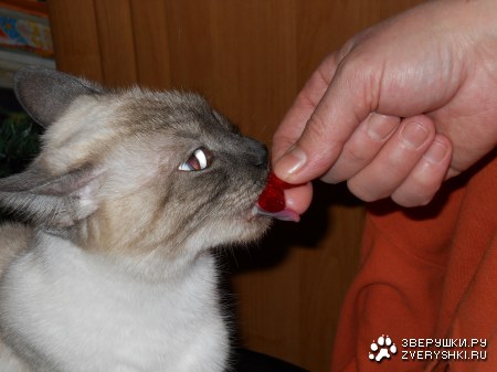 ����������! :)