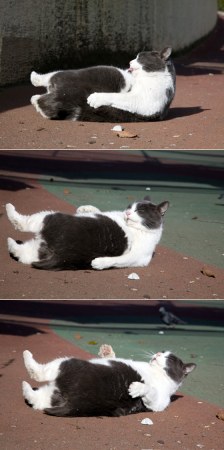 ���-��������� ;)