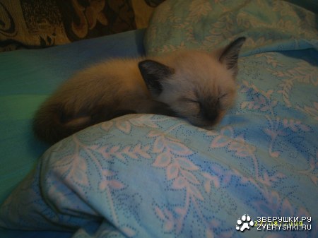 ������ ;)