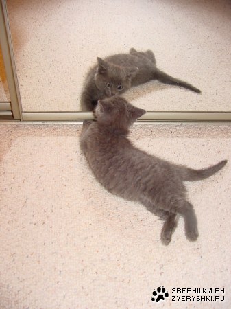 � ��� ��� � ������� ����� ��������? :)