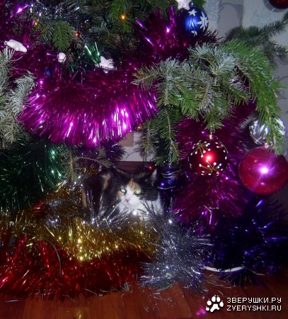 � ����� ��� ���� ����� �� ������ ;)