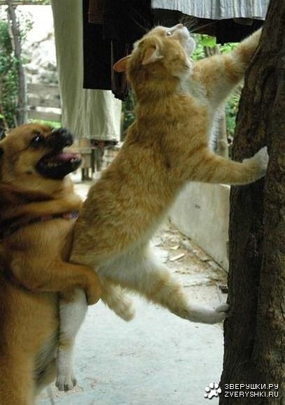 � ���� ��� �� ��������?! ;)