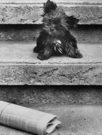 ������ � ���� (20 �����-����������)