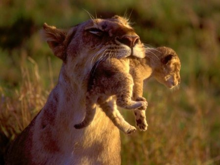 � �����! :)