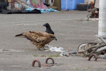 �������� ������ (4 ����)